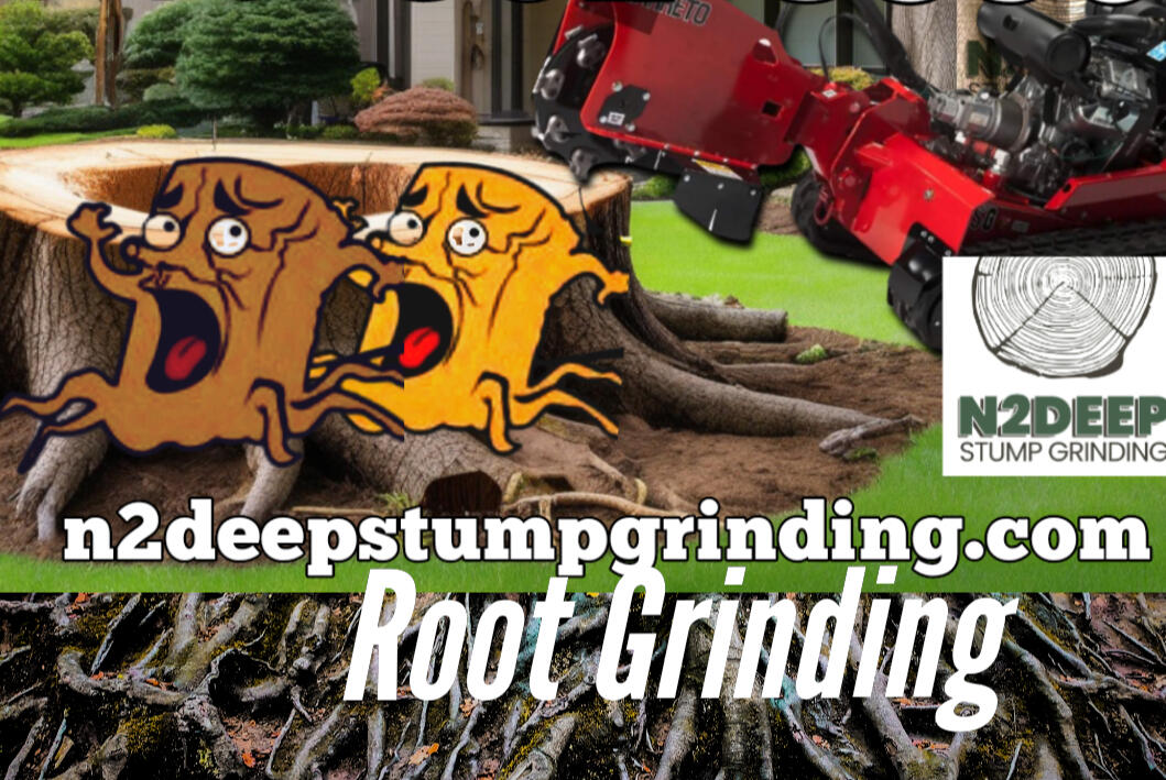 Affordable stump grinding and Fallen Tree Removal Services in Houston – N2Deep N2Deep Stump Grinding crew removing a tree stump safely and efficiently in Houston